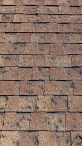 Best Home Insurance for Roofing in Texas (2026 Guide)